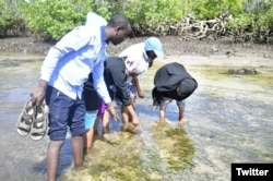 Pelatihan perwakilan masyarakat pesisir di Pulau Faza, Kenya. (Twitter/@KmfriResearch)