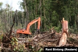 Sebuah ekskavator terlihat di hutan yang hancur di kawasan lahan gambut di Kabupaten Kuala Tripa di Nagan Raya, Aceh. (Foto: REUTERS/Roni Bintang)