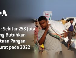 Sekitar 258 Juta Orang Butuhkan Bantuan Pangan Darurat pada 2022
