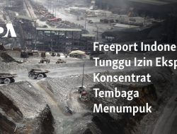 Freeport Indonesia Tunggu Izin Ekspor, Konsentrat Tembaga Menumpuk