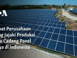 Empat Perusahaan Asing Jajaki Produksi Suku Cadang Panel Surya di Indonesia
