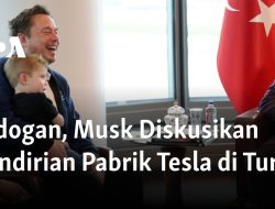 Erdogan, Musk Diskusikan Pendirian Pabrik Tesla di Turki