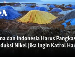 China dan Indonesia Harus Pangkas Produksi Nikel Jika Ingin Katrol Harga